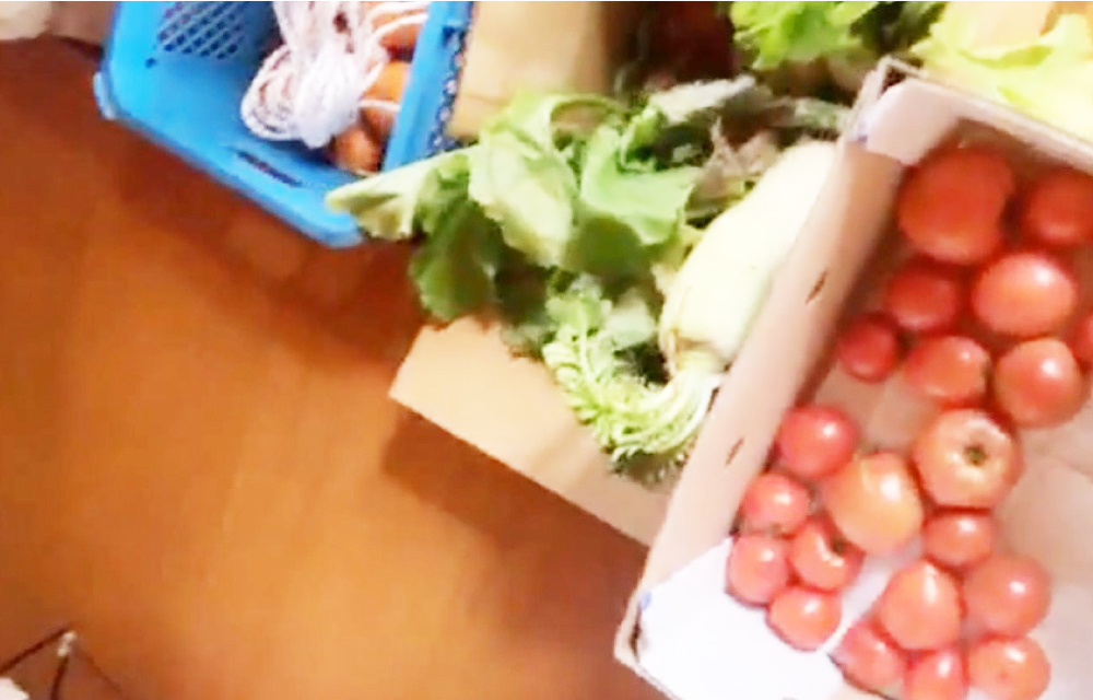 地域の方からもらった野菜やフルーツがいっぱい