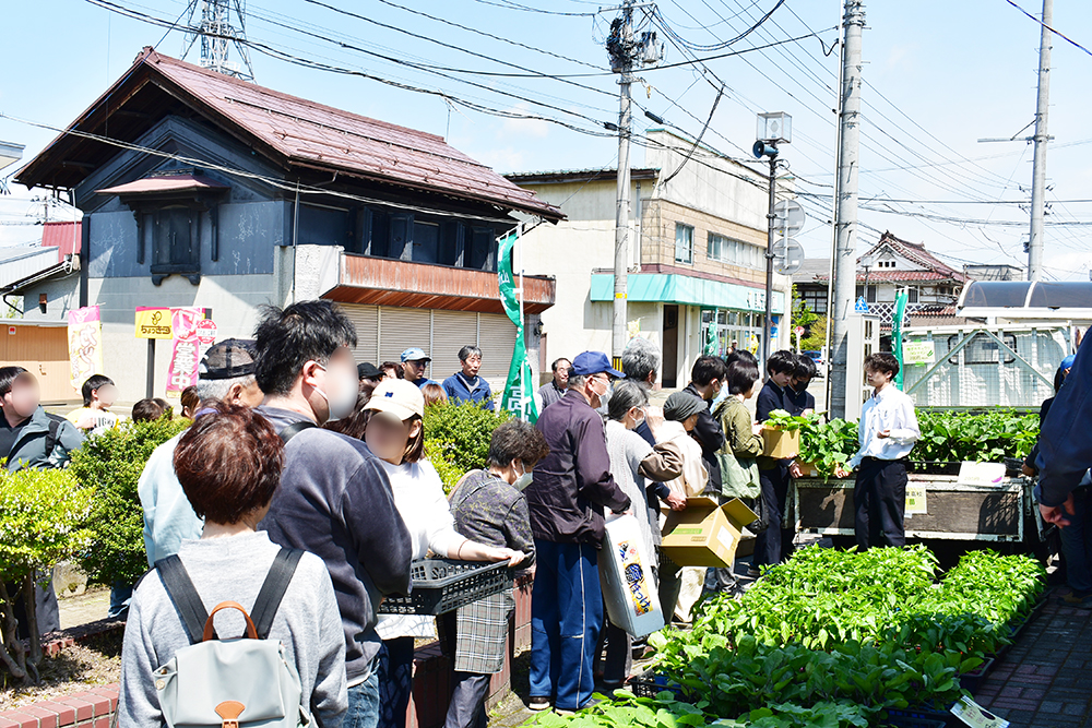 野菜苗の即売会