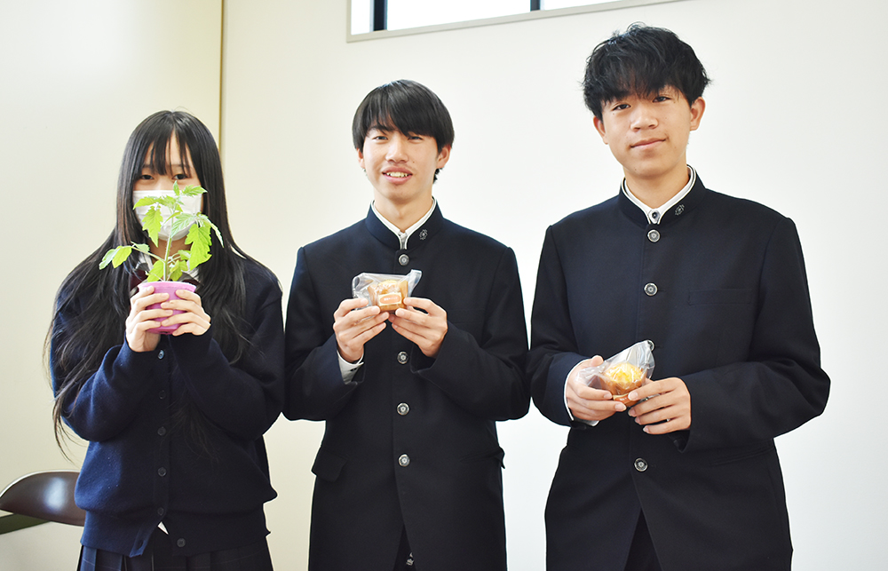 野菜苗の即売会