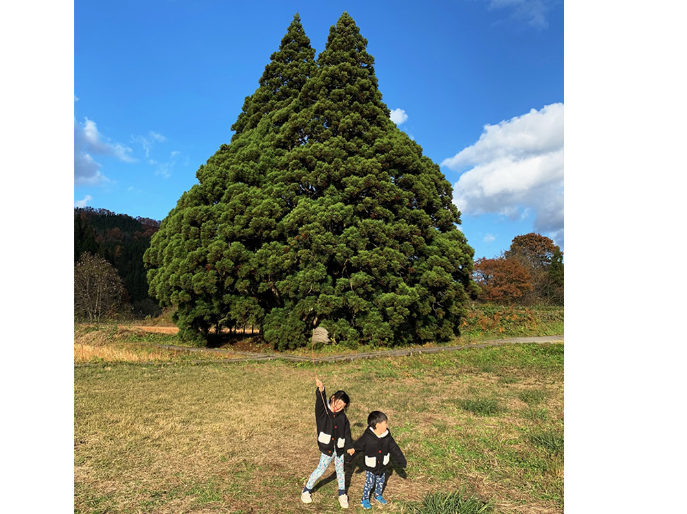 山形いいね