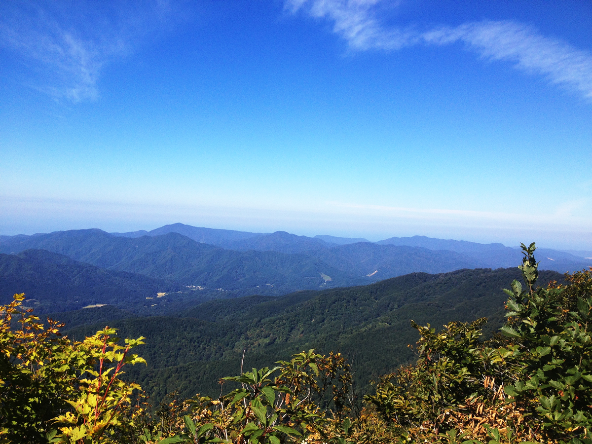 山形いいね